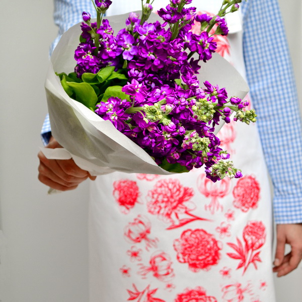 jagababa-predpasnik-apron